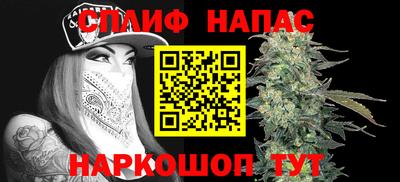 гидра Донецк