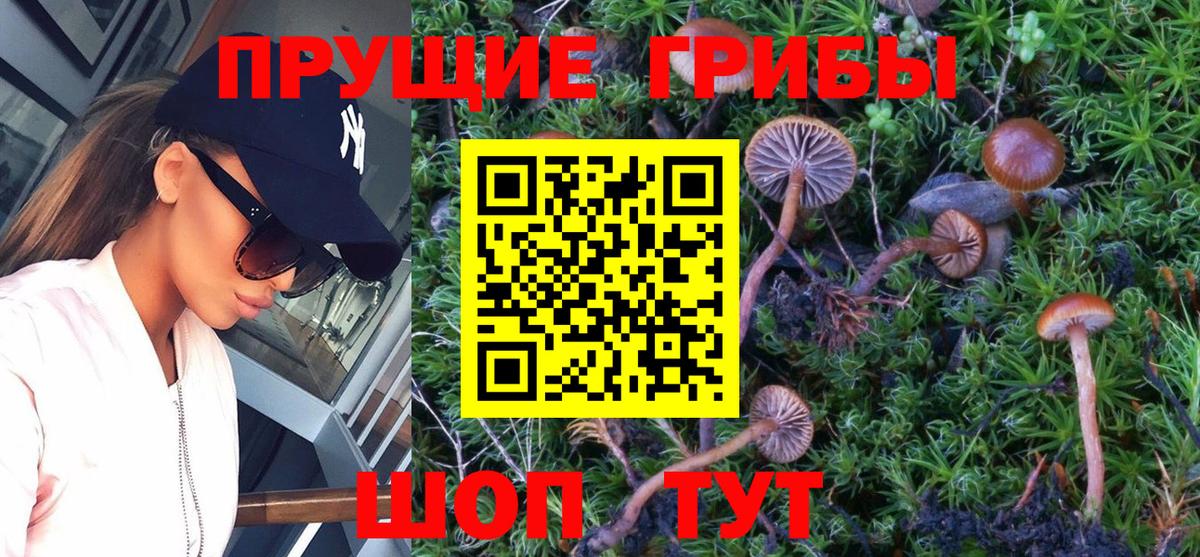 Псилоцибиновые грибы мухоморы Мелеуз