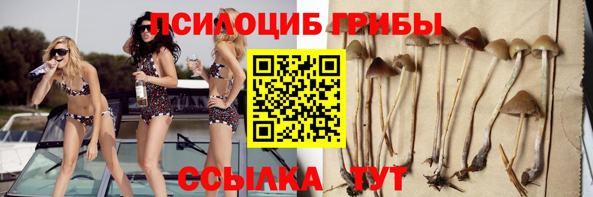 Псилоцибиновые грибы мухоморы  Вход с VPN  Галлюциногенные грибы ЛСД  Мелеуз 
